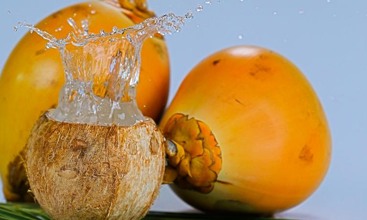 Fresh King Coconut